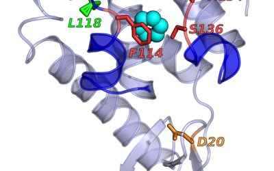 AI Uses Language Rules to Simulate Molecular Motions on Bridges