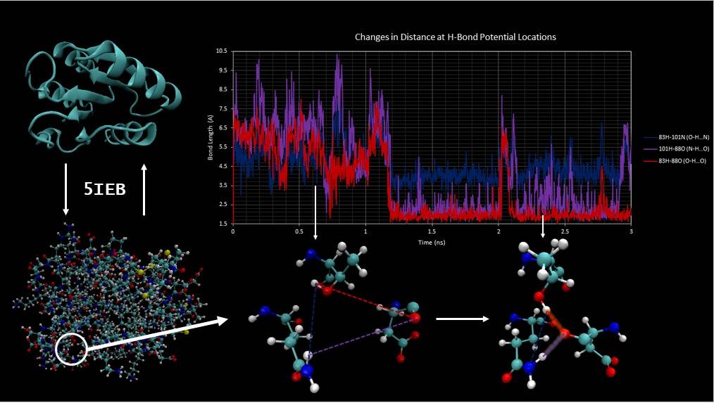 College Students Learn Molecular Simulation on Bridges-2