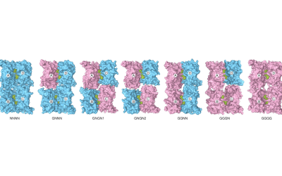 Anton 2, Bridges-2 Simulations Explain Life-Critical Protein in the Brain