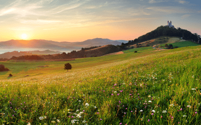 Cultural “Landscapes” Uses Metaphor of Valleys, Mountains, and Plains to Understand the Evolution of World Religions