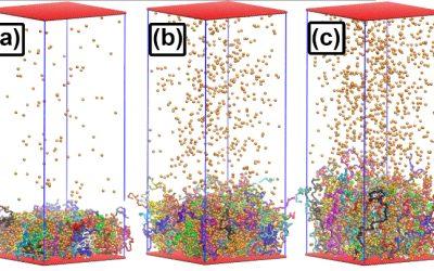 Bridges-2 Simulations Reveal Promising Properties of Polymer Brushes