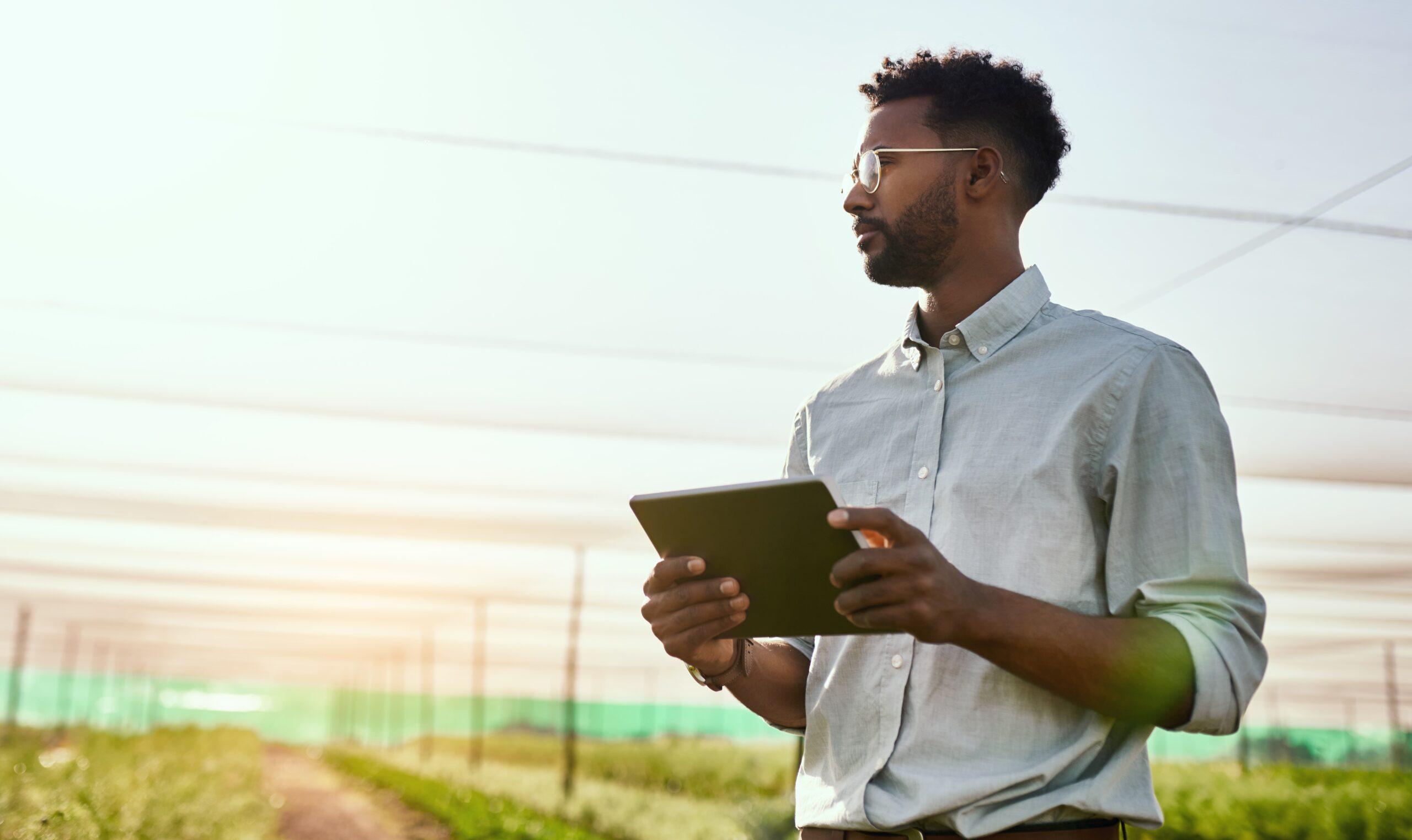 A man holds a digital tablet while looking about himself in a field of crops.