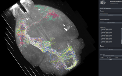 First Formal Paper Describes Progress of Brain Image Library