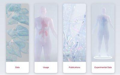 Human BioMolecular Atlas Program: Scientists Announce New Version of 3D Human Reference Atlas (HRA)